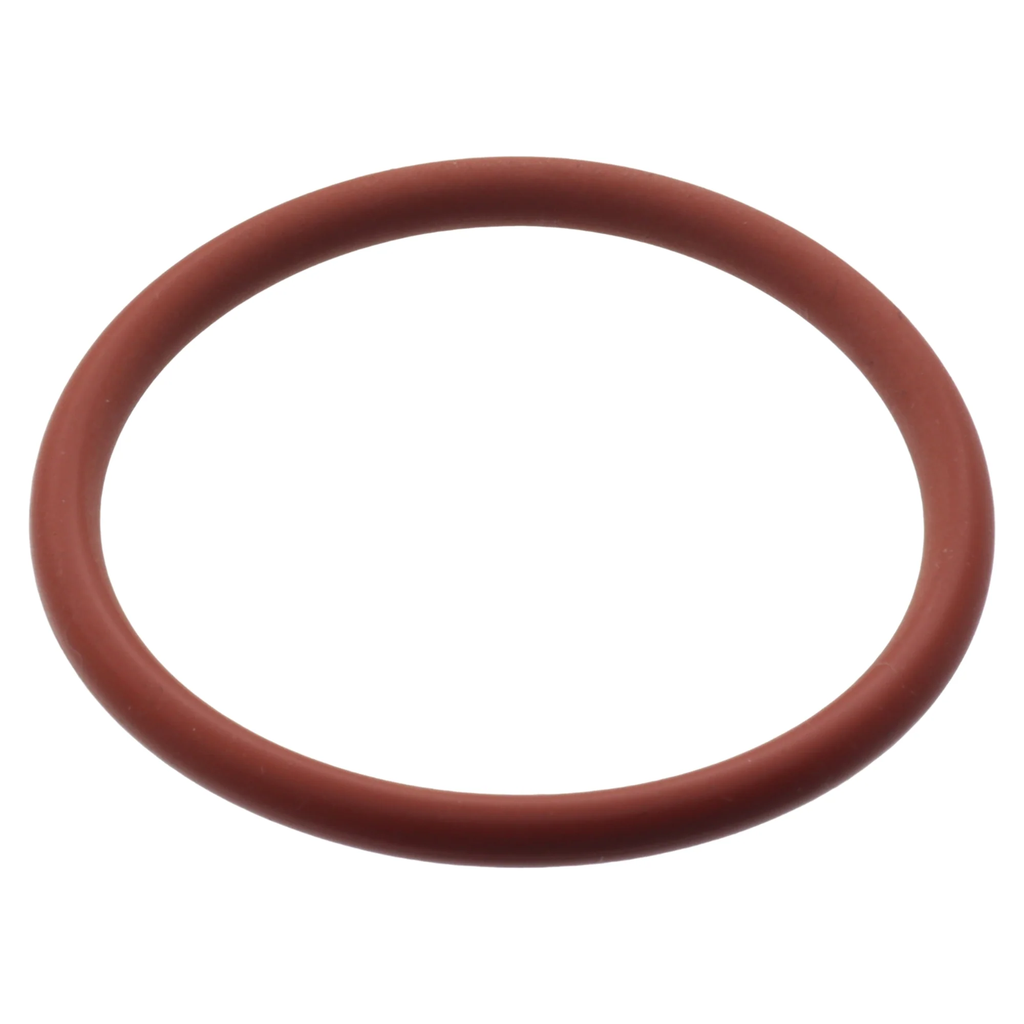 Reber guarnizione anello asse perno passapomodoro n.5 9004 9501 9601 9602 9603 - Image 2